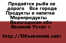 Продаётся рыба не дорого - Все города Продукты и напитки » Морепродукты   . Вологодская обл.,Великий Устюг г.